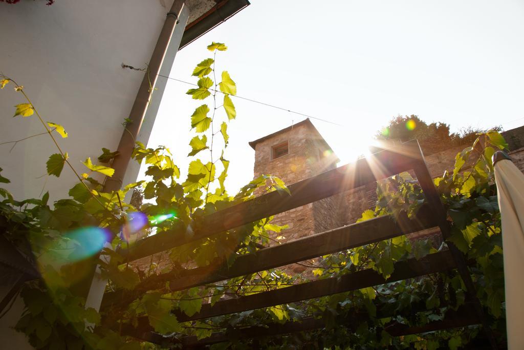 Gasthof Zum Goldenen Anker Hainburg an der Donau Exteriör bild